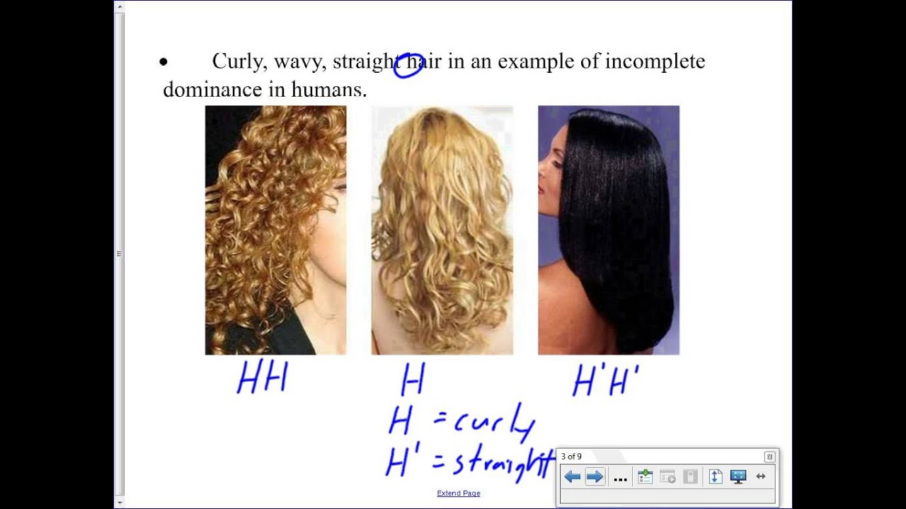 mr-walker-s-biology-30-incomplete-dominance-codominance-multiple