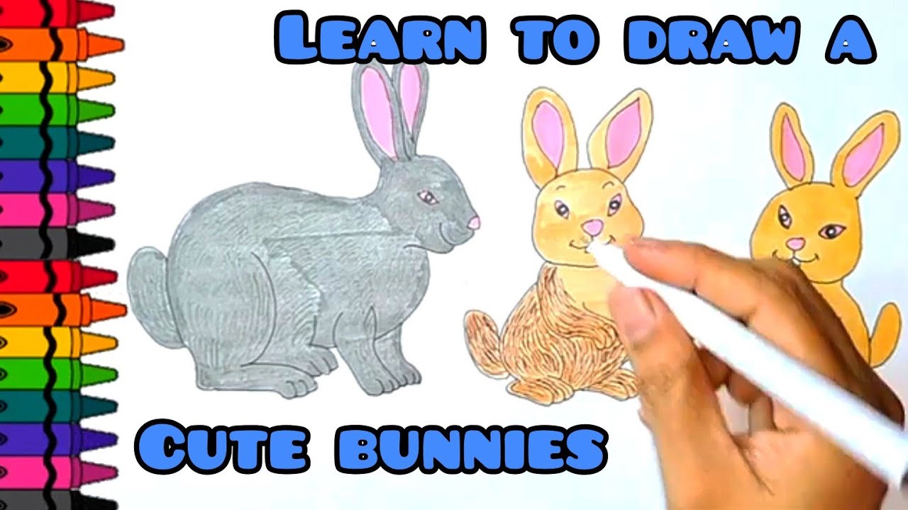 RABBIT AND CUTE BUNNIES DRAWING | RABBIT AND CUTE BUNNIES COLOURING ...