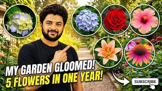 5 Flowering Plants That Bloomed at My Home 🌸 | My Home Garden Transformation 🌿         #youtube 