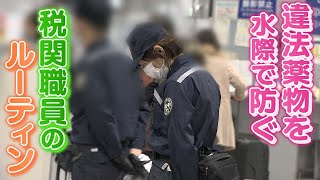 【麻薬探知犬が活躍】違法薬物などの密輸を水際で防ぐ大阪税関職員に密着【関西空港】