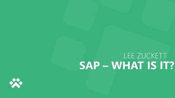 SAP - What is it? With Holger Bruchelt