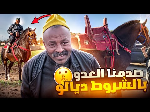 شرينا عود ملكي بشروط أجيو نشوفو كيفاش لقينا العود فلعبار