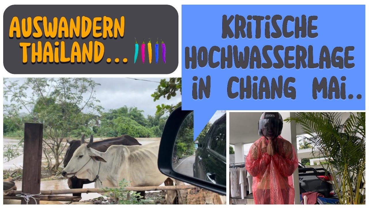 Kritische Hochwasserlage in Chiang Mai,.. aktuelle Lage am 25.09.24  · Thailand I VLOG 26