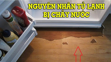 Các nguyên nhân tủ lạnh bị chảy nước ra ngoài - Mẹo Vặt Cuộc Sống