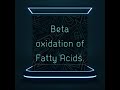 #shorts#YTSHORTS#Energy yield from beta oxidation of fatty acids