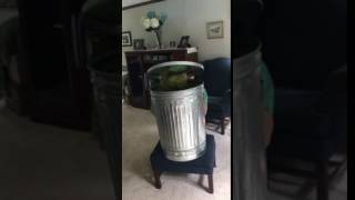 "I Love Trash" ending scene with Scar the Grouch