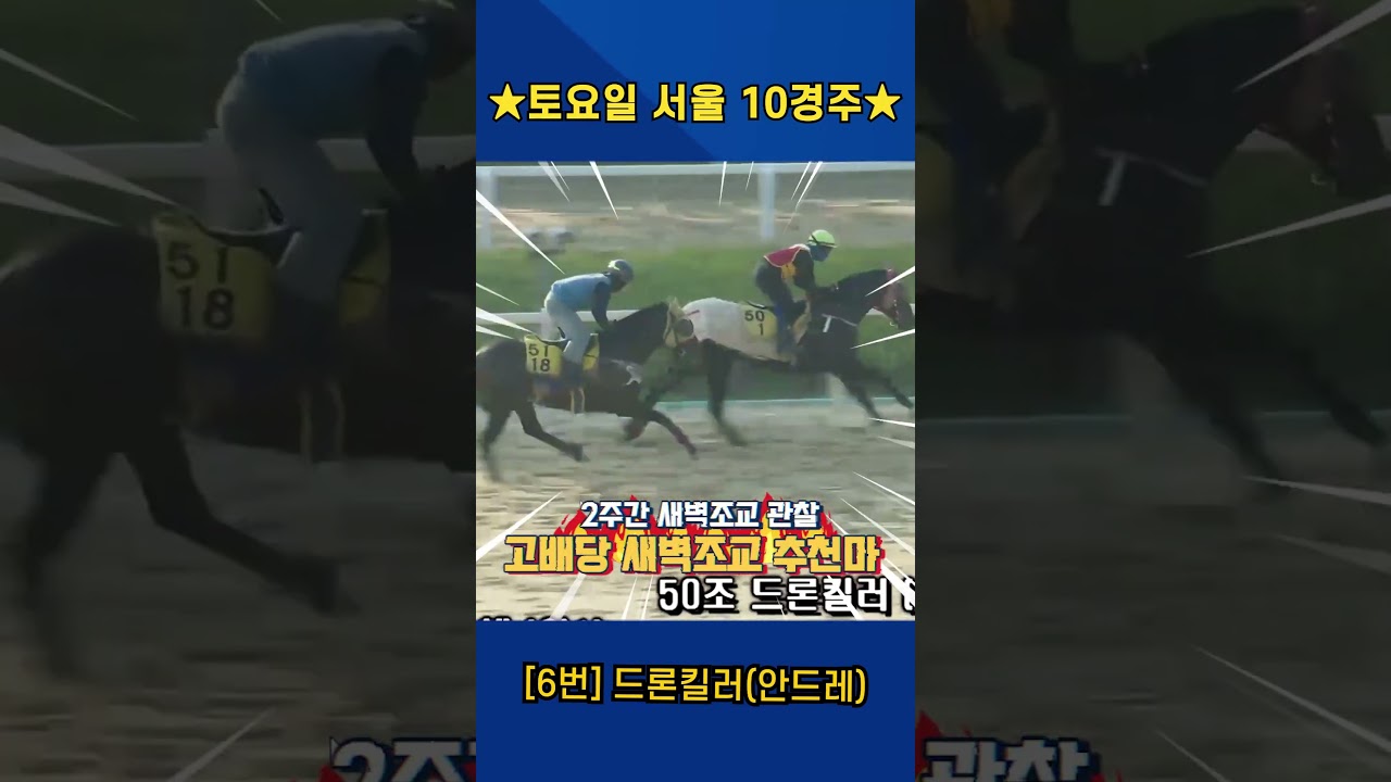 7월4일 토요일 서울 10경주!! 2주간 훈련보인 강백호의 새벽조교 쏘스마!!