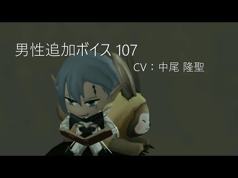 PSO2  CV：中尾 隆聖  男性追加ボイス 107