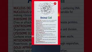 Animal Cell | Structure & Functions Explained | #animalcell