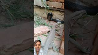 Survival Skills Smart And Useful Ideas With Single Mom ideas smart creative