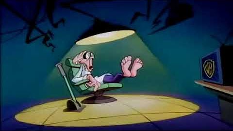 Animaniacs Theme Song but it