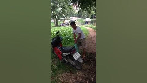 Câu cá diêu hồng