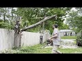 Tree trimming idea: Good Idea or Giant Failure???