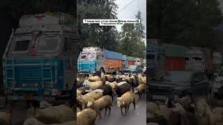 Today Weather Conditions of Manali Himachal Pardesh #himachalpradesh #manali #weather #update