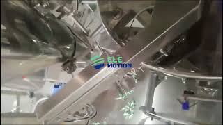 beef jerky packaging machine, Elemotion's premade pouch packing machine for beef jerky, dried foods.