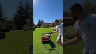 Bermuda mowing satisfaction #giardinaggio #tappetoerboso #turfgrass