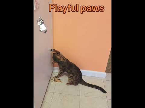 Настырный:) - YouTube