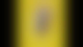 Dj Mystery - Pussy Bitch (Original Mix)