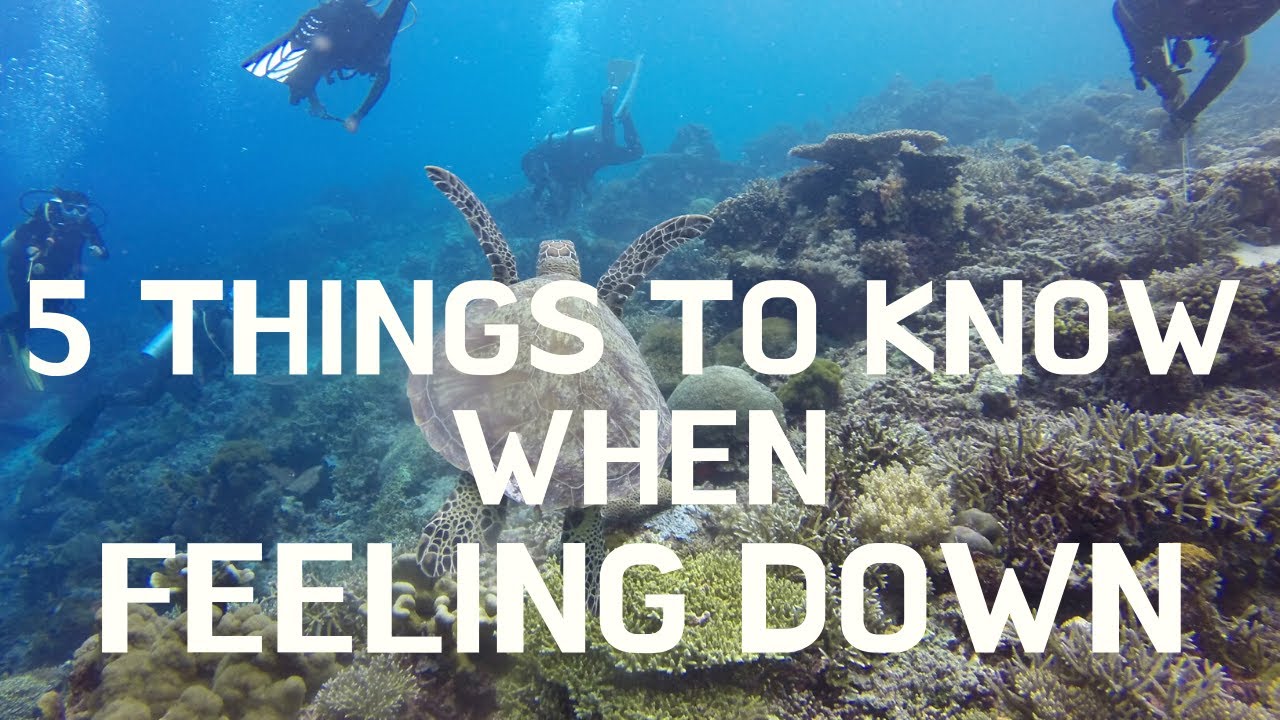 5 things to know when you are feeling down. - YouTube