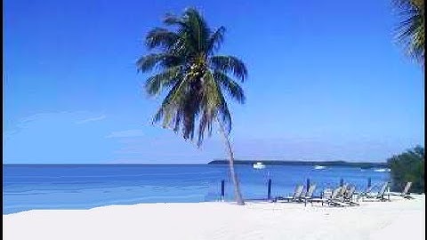 Go to Florida - Don Foster (songwriter)