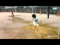 雨上がり(^o^)／~~