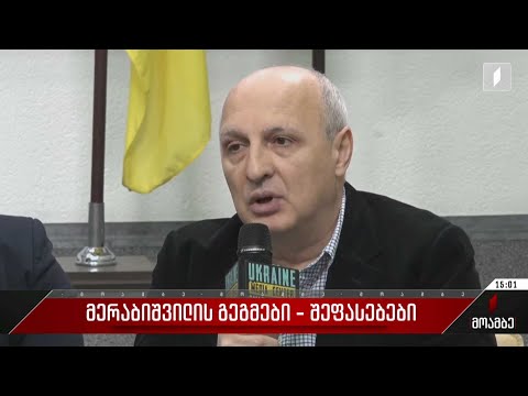 ვანო მერაბიშვილის გეგმები - შეფასებები პოლიტიკურ სპექტრში