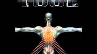 Tool - L.A. Municipal Court (Salival)