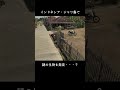 ジャワ島の謎の生物