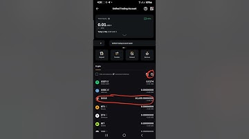 How to check and see your dogs Token in Bybit Exchange