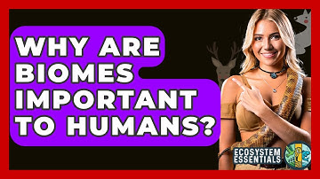 Why Are Biomes Important To Humans? - Ecosystem Essentials