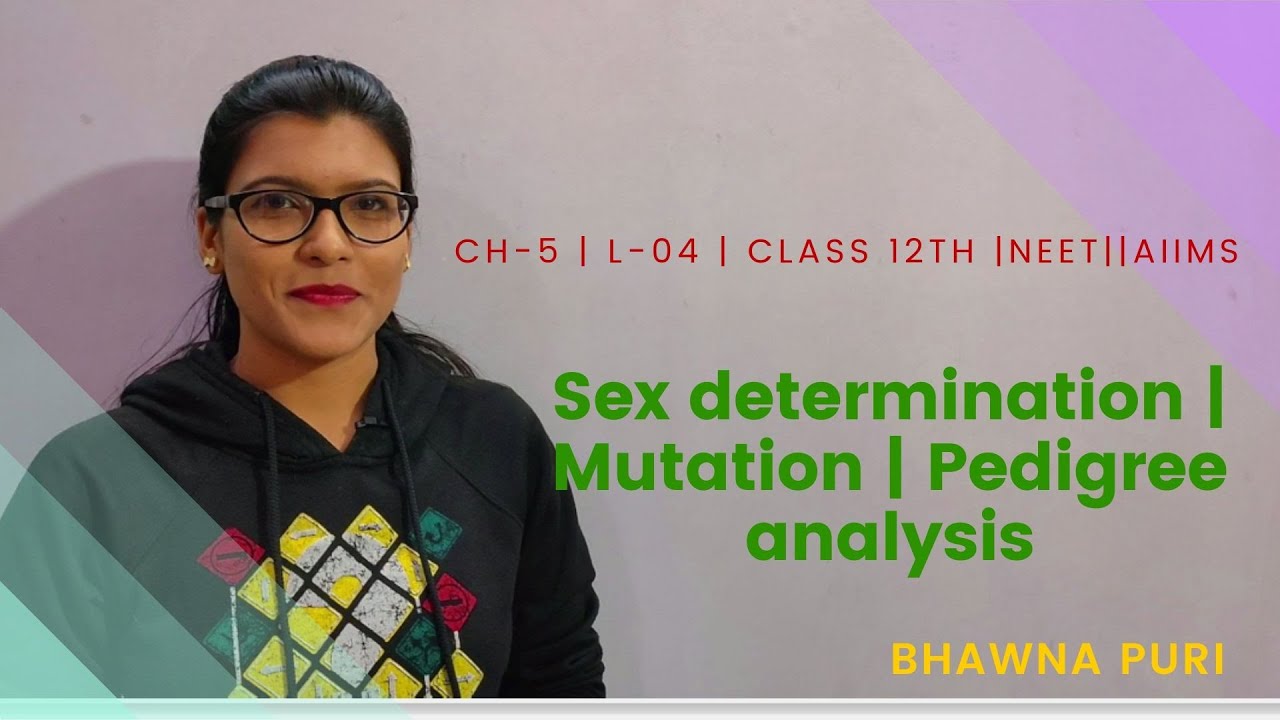 Ch 5 L 05 Sex Determination Mutation Pedigree Analysis Class ch-5-l-05-sex-determination-mutation-pedigree-analysis-class
