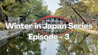 Winter in Japan 2023 Series. Some more of Osaka and then..