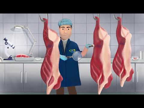 როგორ შევარჩიოთ კარგი ხარისხის ხორცი