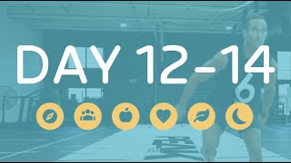 6 ESSENTIALS CHALLENGE - DAY 12-14