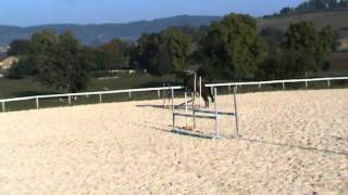 Cardio Parcours Entrainement