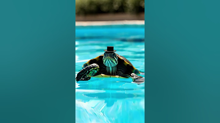 Turtle enjoying summer vibes by the pool! 🐢☀️💦#turtle #summer #pool #fun #cute #ai #veo3