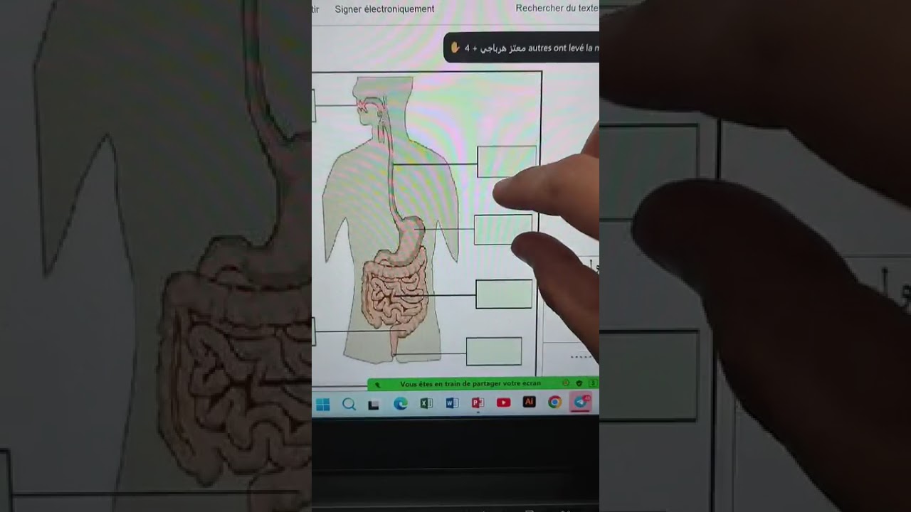 مراجعة الانزيمات و محطات الهضم، المناعة و المنعكس الفطري #علوم_الطبيعة_و_الحياة #رابعة_متوسط 