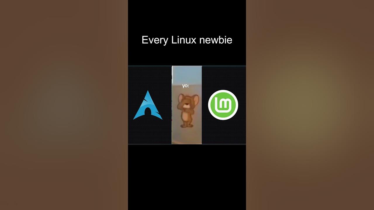 Every Linux NewBie #linux #linuxdistro