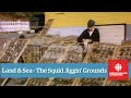 Land & Sea - Squid Jiggin' Grounds - Full Episode