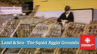 Land & Sea  Squid Jiggin' Grounds  Full Episode