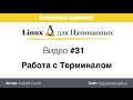 Видео #31. Работа с Терминалом