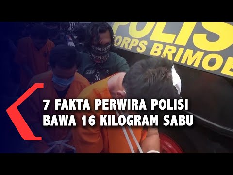 Video: Seorang Penduduk Di Wilayah Vladimir Menemui Gading Raksasa Seberat 16 Kg Di Tebing Sungai Klyazma - Pandangan Alternatif