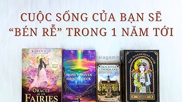 🌳CUỘC SỐNG CỦA BẠN SẼ “BÉN RỄ” VỮNG CHẮC TRONG 1 NĂM TỚI🪾🌴🌳🍃Tarot🌱🪴☘️🍀