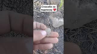 наконец-то царское серебро...#коп #монеты #камрад #серебро #металлоискатель #клад #находки #золото