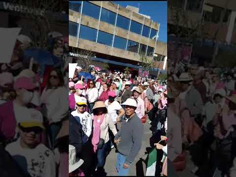Más de 100.000 se manifiestan en México contra las leyes que modifican el organismo electoral