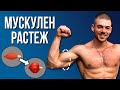 Мускулен растеж: 5 ключови принципа, които трябва да знаеш