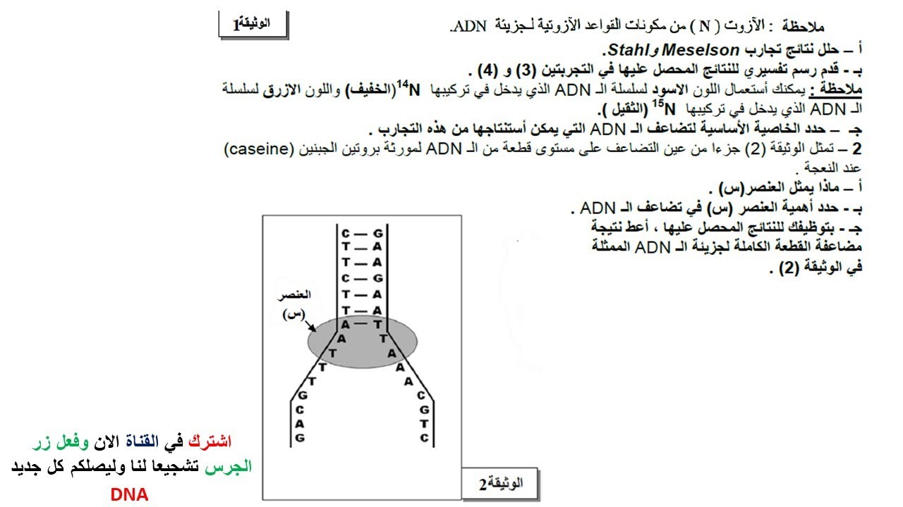 اختبار حول تضاعف الADN للسنة الثانية ثانوي