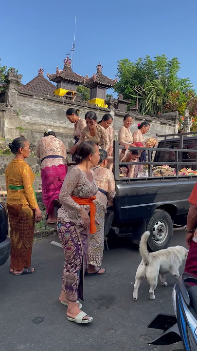 Dedari turun ke bumi #ladies #pickup #wedding #transport