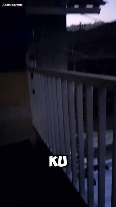 Dingdong asli hide and seek #dingdong #hideandseek #horor #jumpscare 8