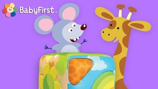 BabyFirst TV: Wonderbox | Fun Cartoons, Learn Colors, Numbers and More | Preschool Videos
